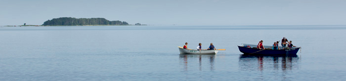 Noored kalurid võrkenõudmas