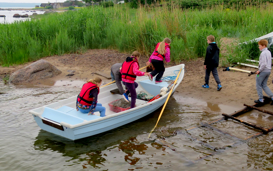 NOOR KALUR 2015 tullakse võrke nõudmast