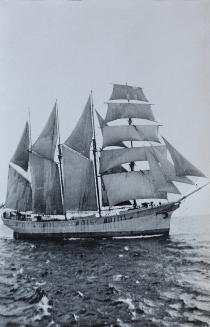 Haral ehitatud Tormilind