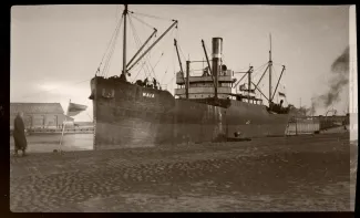 A/L Maia kai ääres