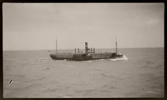 A/L Maia puidulastis merel