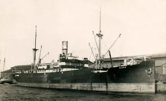 A/L Signe kai ääres