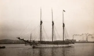 P/L Julia puidulastis