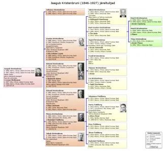 Käsmu Meremuuseum - Jaagub Kristenbrun 1846-1927 sugupuu