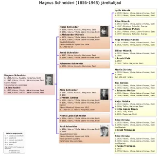 Käsmu Meremuuseum - Magnus Schneider 1856-1945 sugupuu