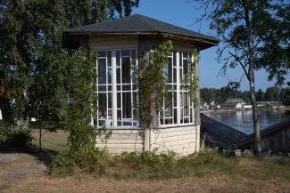 Käsmu Meremuuseum - Lehtla mets viinapuu varjus