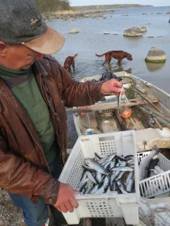 Käsmu Meremuuseum - Laager 2013 saak