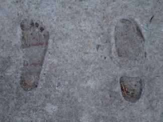 Käsmu Meremuuseum - Jäljeplatsi fragment 2015