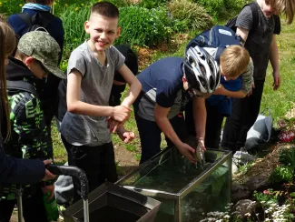 Käsmu Meremuuseum - Püütud kalade määramine 