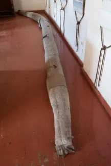 Käsmu Meremuuseum - Päästepaadi korkvöö enne restaureerimist KMM/MER_114