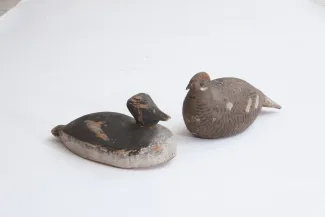 Käsmu Meremuuseum - Peibutus linnud KMM/MER_491