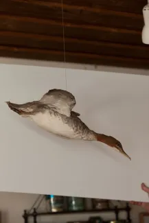 Käsmu Meremuuseum - Koskel topis KMM/ZO_548