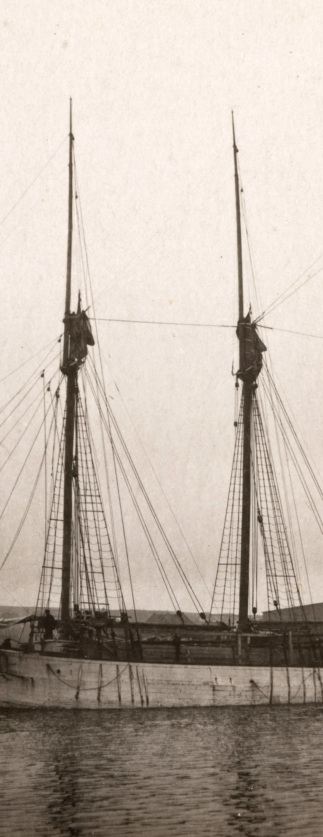 P/L Julia puidulastis