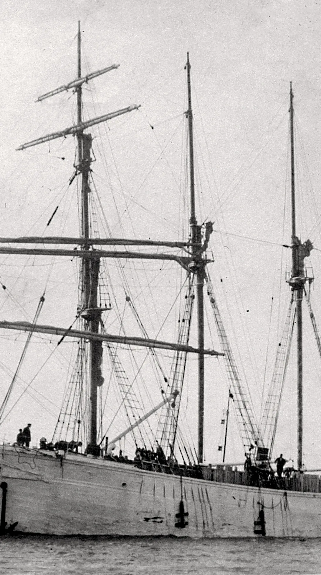 P/L Tormilind täislastis 