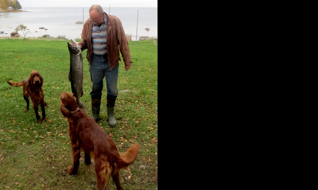 Käsmu Meremuuseum - Laager 2015 Virko Sirkel KALA Puna ja Roosa