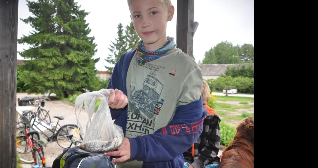 Käsmu Meremuuseum - Laager 2016 Käsmu järvelt näkanud kassikala