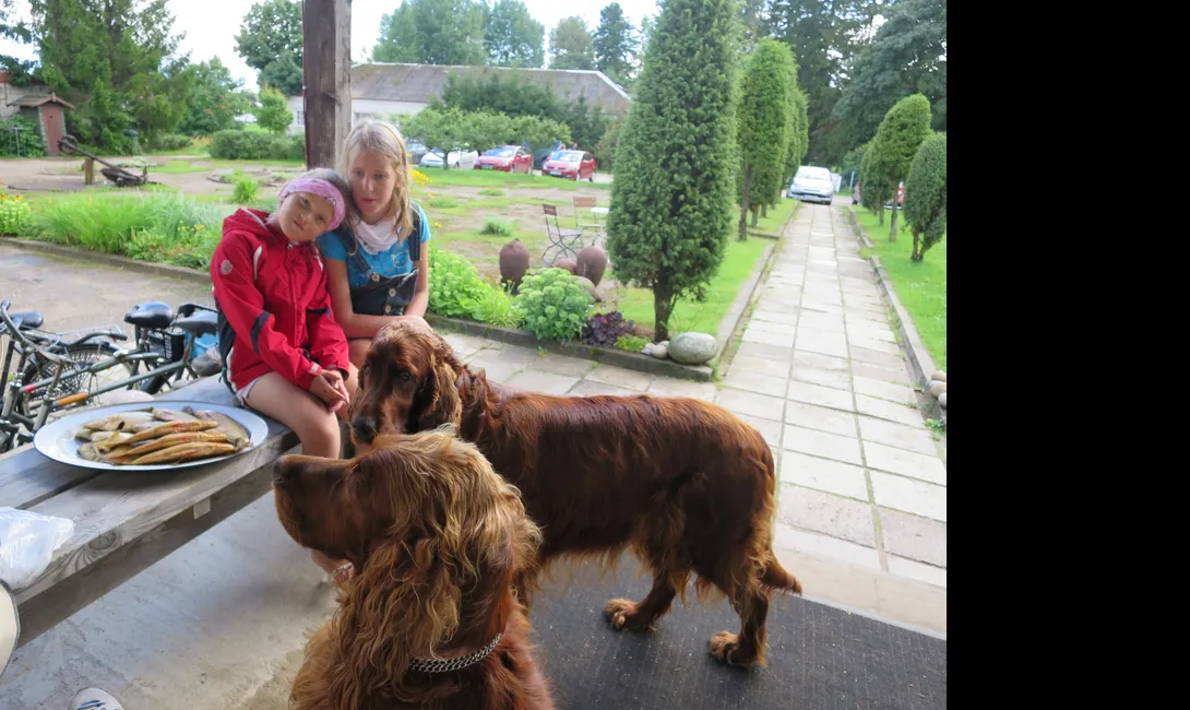 Käsmu Meremuuseum - Laager 2016 Roosa ja Puna kala ootus