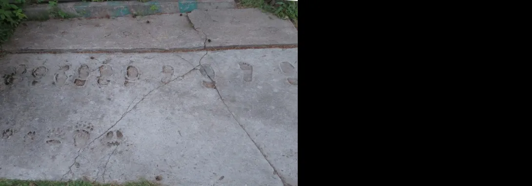 Käsmu Meremuuseum - Jäljeõppe plats Käsmus, Kaevu Valgama laevaehitusplatsil 2015