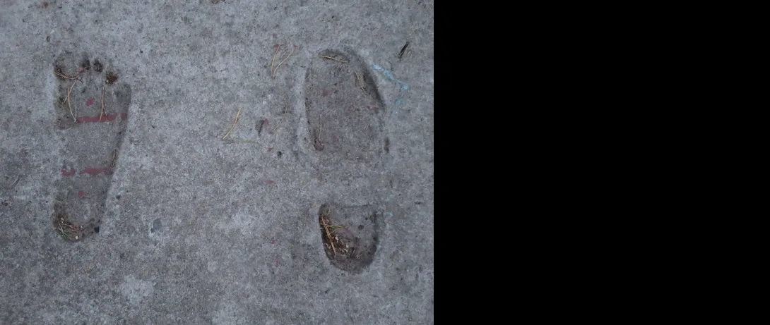 Käsmu Meremuuseum - Jäljeplatsi fragment 2015