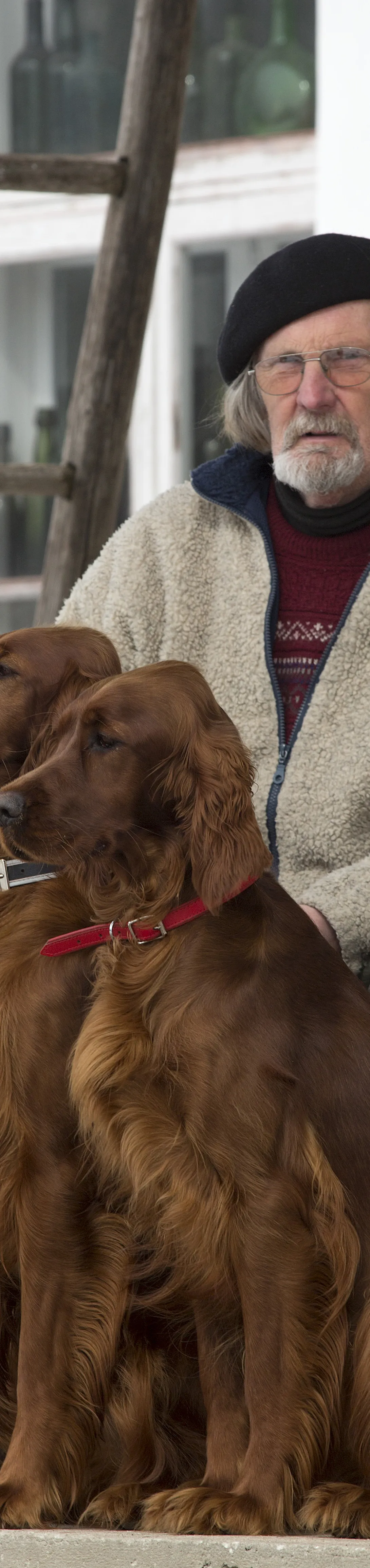 Käsmu Meremuuseum - 05.04.2013 Aarne Vaik koos setterite Roosa ja Punaga