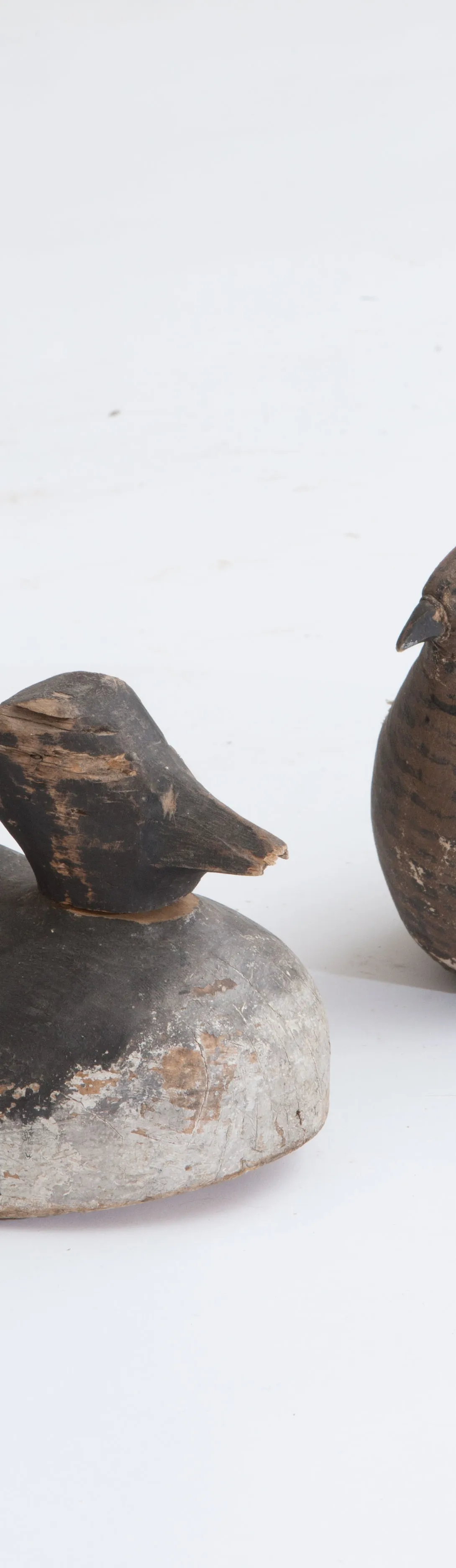 Käsmu Meremuuseum - Peibutus linnud KMM/MER_491